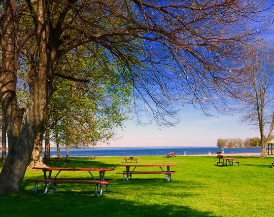 Park with Picnic Tables